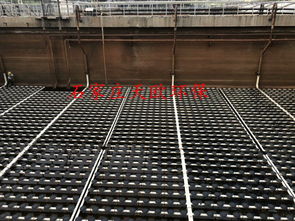 微孔曝气管、曝气盘、曝气软管与滤料 水处理系统中的关键组件